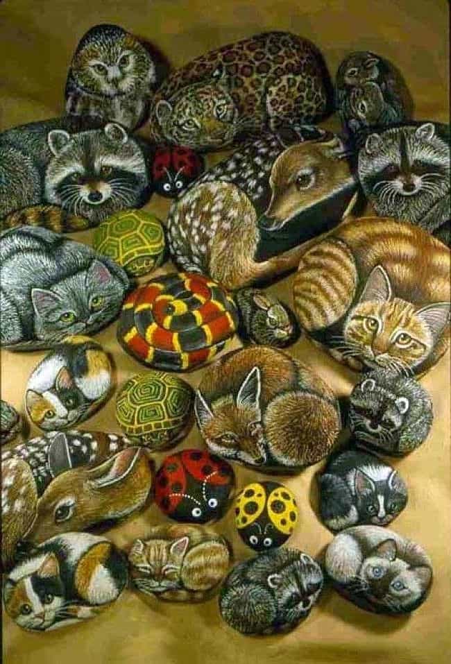 Realistic animals - Rock Painting