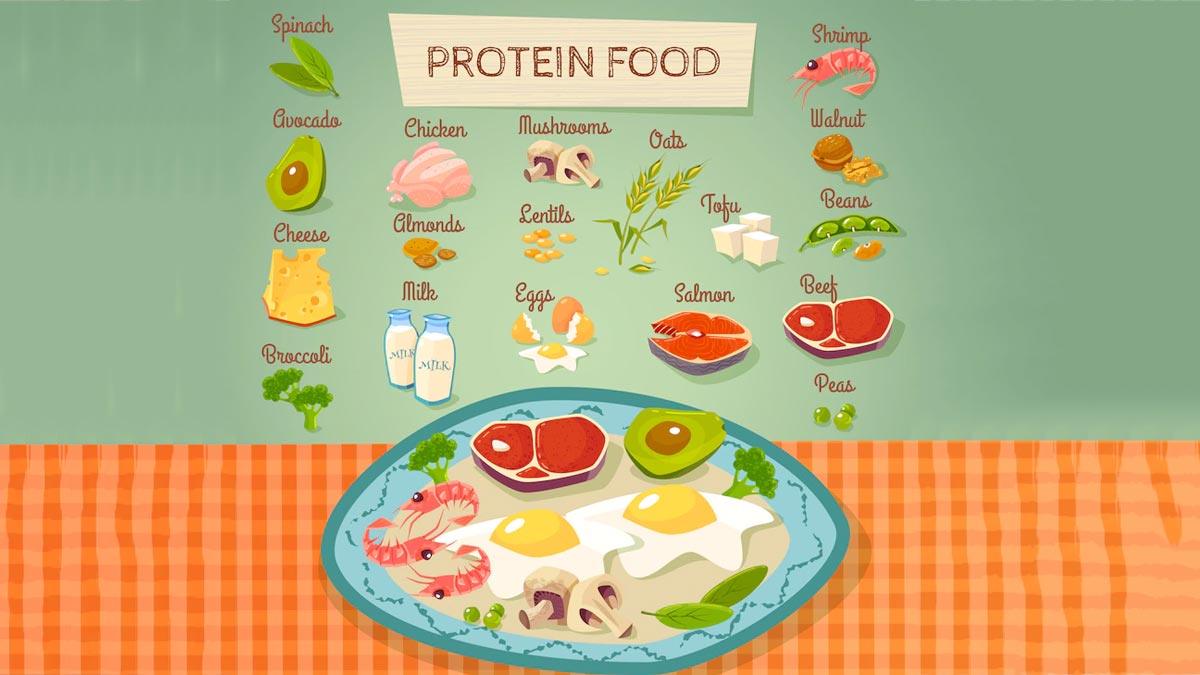Protein diet for kids