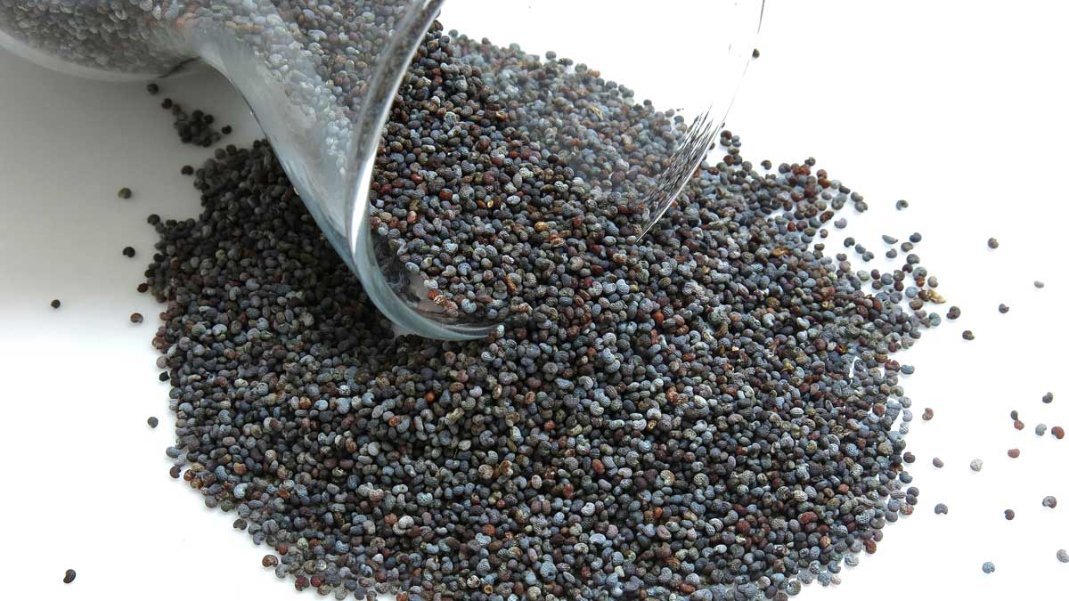 Health Benefits Of Consuming Poppy Seeds