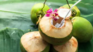 coconut water to increase platelet count