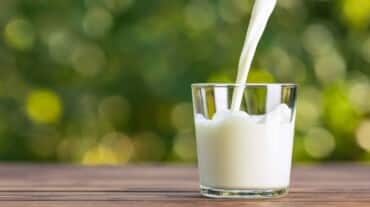 benefits of milk
