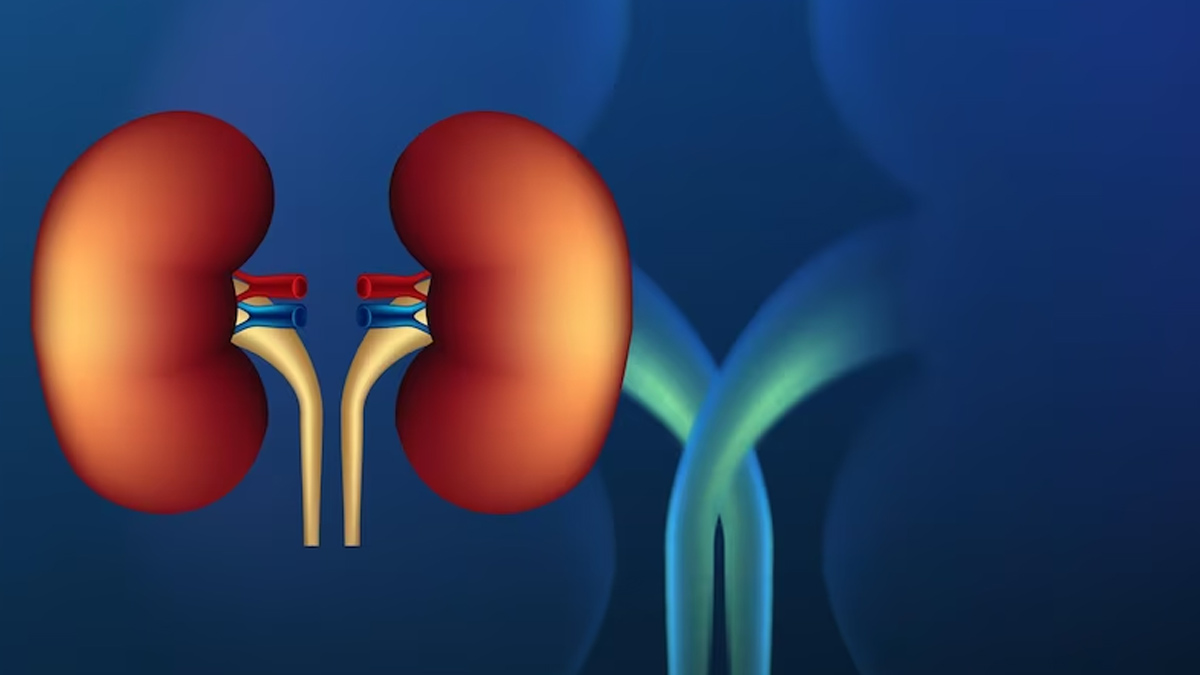 Signs Of Polycystic Kidney Disease