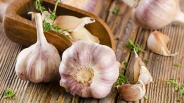 garlic for ear