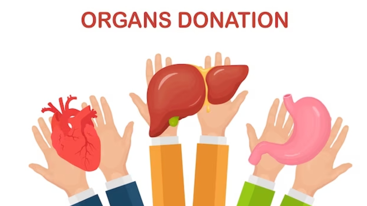 most transplanted organs