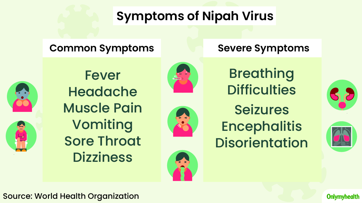 What Are The Symptoms of Nipah Virus