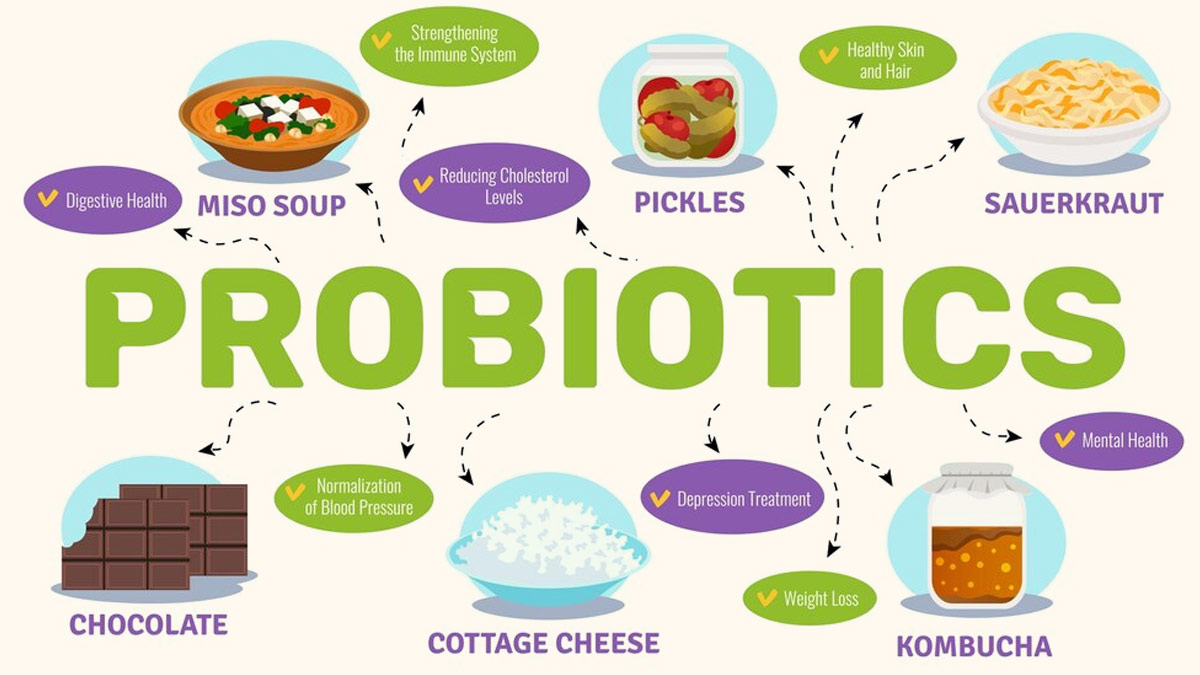 What are Probiotics and Prebiotics