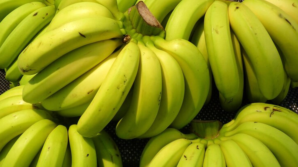 Green Banana or Yellow What is a Healthier Choice For You