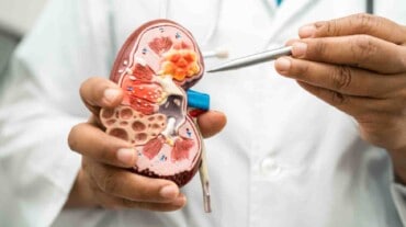 Important tests for kidney diseases